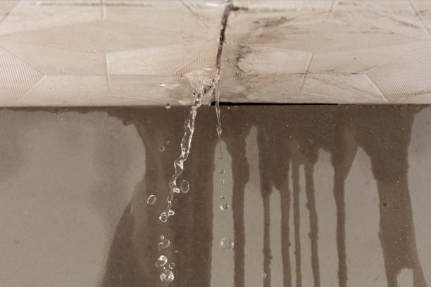 Professional Water Damage Inspection technician working in Medway, MA